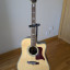 Tanglewood Sundance TW1000CE