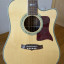 Tanglewood Sundance TW1000CE