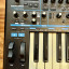 NOVATION BASS STATION 2
