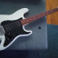 Stratocaster (Fender, Gibson, caoba, nitro...)