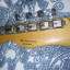Fender classic player baja telecaster(reservada)