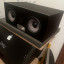 Monitores de estudio EVE Audio SC305