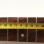 Mastil guitarra Stratocaster