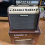 Fishman Loudbox mini