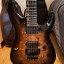 ESP LTD H-1001 DELUXE
