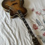 Hofner Committee Archtop Brunette (1963)