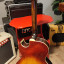 Ibanez Howard Roberts Model 2453 1973-74