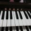 Organo Vintage Omegan 1300, rithmix 100 -NUEVO PRECIO-