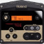 Roland TM 2 Pantalla