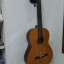 Veracruz 755 TLK+regalo guitarra española