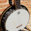 Banjo americano 5 cuerdas Samick artist series edition