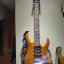 Cort ViVa Gold