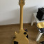 Epiphone Les Paul Special TV