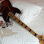 Sire Marcus Miller V7 Sunburst alder maple con extras