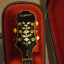 Epiphone Sheraton II Mejorada