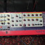 Nord Rack 2 16-Voice Rackmount Virtual Analog Synthesizer