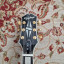 Epiphone les paul custom