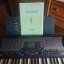 Teclado Casio CTK-551