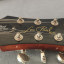 Epiphone Les Paul Standard Plus Top Pro