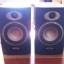 Monitores campo cercano TANNOY Reveal 5A