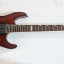 Esp-Ltd 401 MH