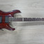 Esp-Ltd 401 MH