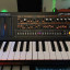 Roland boutique jp 08 + Roland K-25m keyboard