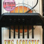 EMG ACS Pastilla para guitarra acústica