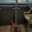 Steinberger Spirit modificado