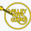 Valley Arts Guitars