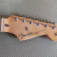 Mastil Fender stratocaster classic 50