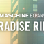 pack paradise rinse