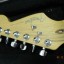 Cambio: cambio Fender Stratocaster Lonestar USA+ material didáctico por clásica tapa de cedro