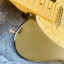 Fender American Standard Telecaster