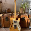 Telecaster Thinline E series Japan