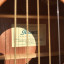 Guitarra IBANEZ electro-acústica + funda