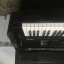 Piano Kurzweil X-Pro UP