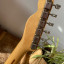 Telecaster Thinline E series Japan