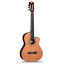 Guitarra Alhambra CS-3 CW E8
