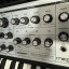 Moog Sub Patthy