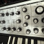 Moog Sub Patthy