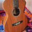 Cambio Martin X Series con previo Fishman por Taylor Academy o similar
