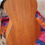Cambio Martin X Series con previo Fishman por Taylor Academy o similar