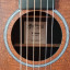 Cambio Martin X Series con previo Fishman por Taylor Academy o similar