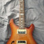 Prs custom 22 SE semihollow