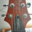 Prs custom 22 SE semihollow