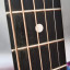 Cambio Martin X Series con previo Fishman por Taylor Academy o similar