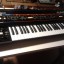 Roland Juno 60 impecable