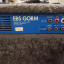 Amplificador de bajo EBS GORM 300 vatios