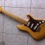 Stratocaster Warmoth-Allparts